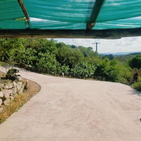 Villa Sara Olbia Esterno foto