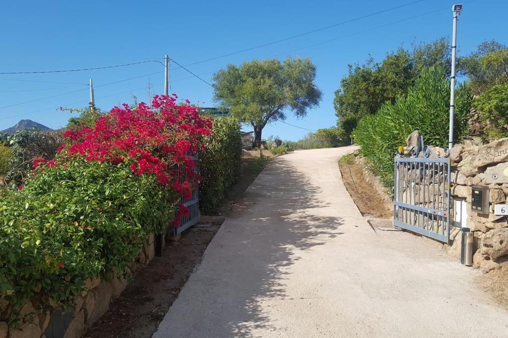 Villa Sara Olbia Esterno foto