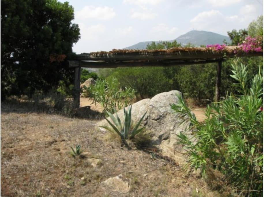 Villa Sara Olbia Esterno foto